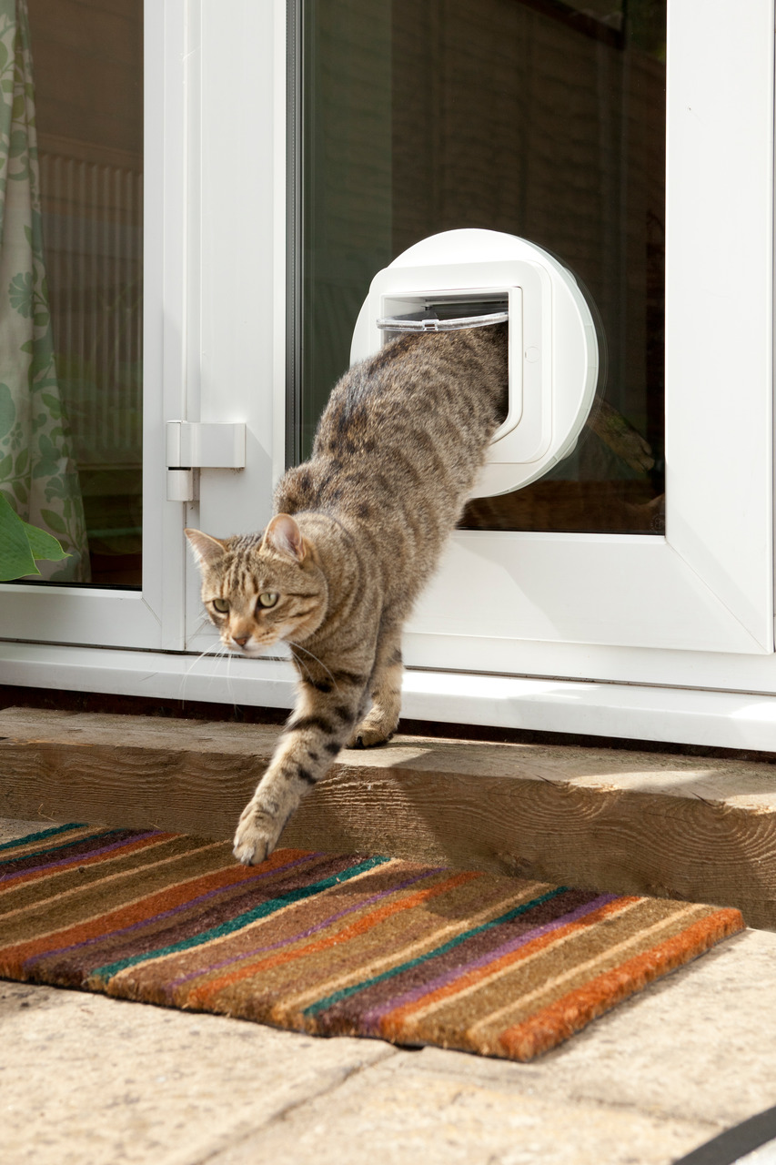 SureFlap Mikrochip-Katzenklappe, weiß, für Katzen, sicherer Zugang, kontrollierte Ein--Ausgänge, ideal für Katzenbesitzer.