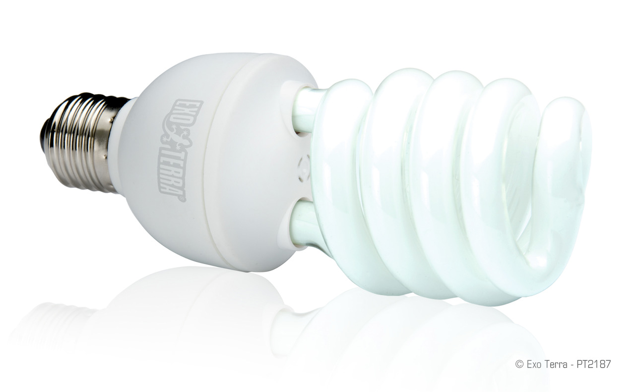 Exo Terra PT2187 UVB-Lampe, Reptilien+Amphibien, fördert Vit.-D3-Synthese, spiralförmig, E27-Sockel.