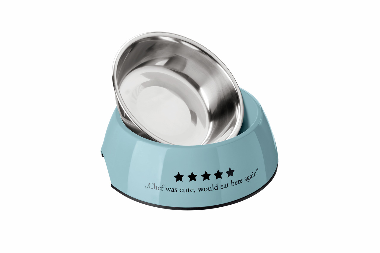 HUNTER Futternapf für Hunde, Edelstahlschale, türkisfarbene Halterung, rutschfest, humorvoller Schriftzug „Chef was cute...“, 5 Sterne.