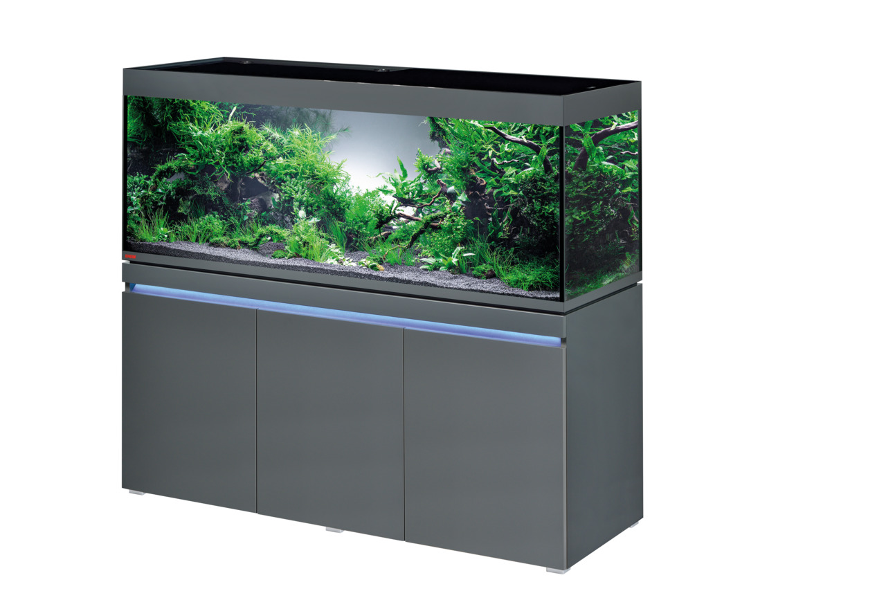 EHEIM Aquarium Proxima 325, 325 l, für Süßwasserfische, modernes Design, grauer Unterschrank, ideal für Aquaristik-Enthusiasten.