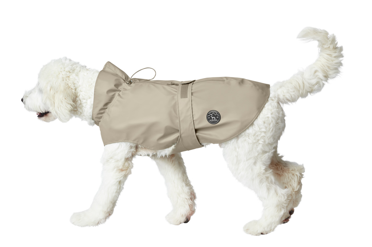 Ein weißer Hund trägt einen beigen Hundemantel der Marke HUNTER, Modell Uppsala. Der Mantel ist wasserabweisend und für Hunde mittlerer Größe geeignet. Er verfügt über einen verstellbaren Gurt und eine Kapuze. Ideal für regnerische Tage, bietet er Schutz 