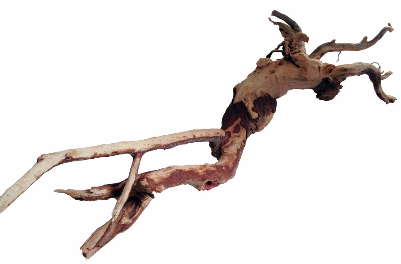Ein dekoratives Aquarium-Holzstück der Marke Aquadeco, geeignet für Aquarienliebhaber und Terrarienbesitzer. Das naturbelassene Holz mit verzweigten Ästen bietet eine ideale Gestaltungsmöglichkeit für Unterwasserlandschaften oder Reptilienhabitate. Maße u