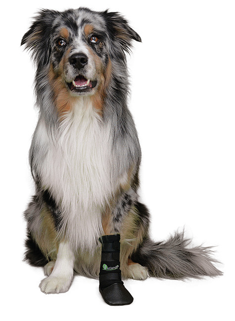 Vetlando Hundeschuh-Bandage, für Hunde, Schutz/Unterstützung verletzter Pfoten, robust & bequem, ideal für aktive Hunde.