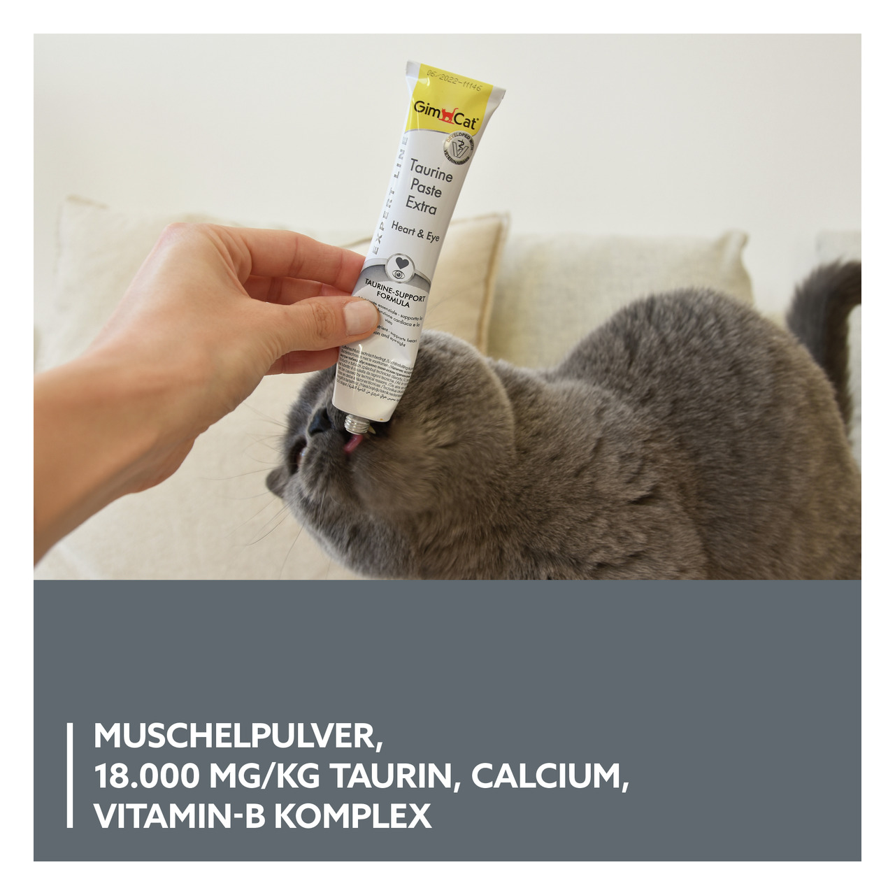 Das Bild zeigt eine graue Katze, die aus einer Tube GimCat Taurine Paste Extra geleckt wird. Die Paste ist speziell für Katzen entwickelt und unterstützt Herz- und Augenfunktionen. Sie enthält 18.000 mg/kg Taurin, Calcium und einen Vitamin-B-Komplex. Die 