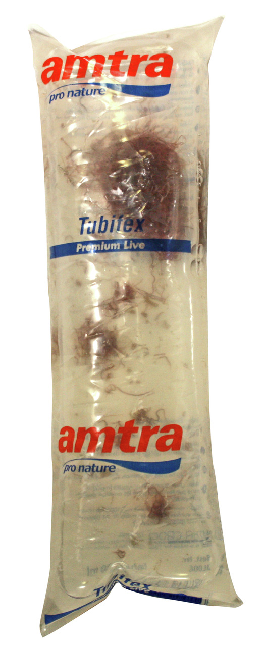 Das Bild zeigt eine durchsichtige Kunststoffverpackung mit der Aufschrift „amtra pro nature Tubifex Premium Live“. Es handelt sich um lebende Tubifex-Würmer, die als hochwertiges Fischfutter für Aquarienfische angeboten werden. Die Verpackung ist länglich