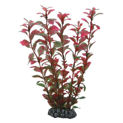 HOBBY Plant Ludwigia 25 Centimeter Aquarieneinrichtung