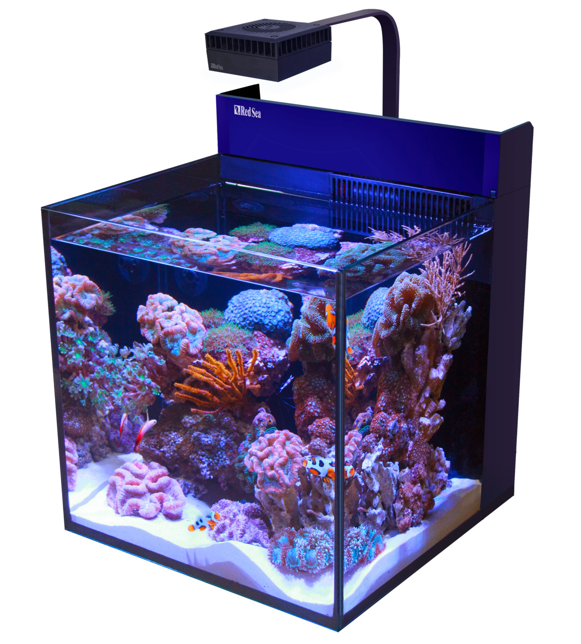 Das Bild zeigt das Red Sea MAX NANO Aquarium, ein hochwertiges Nano-Riffaquarium für Meerwasserliebhaber. Es ist mit lebhaften Korallen, bunten Fischen und einer integrierten LED-Beleuchtung ausgestattet, die optimale Bedingungen für Korallenwachstum scha