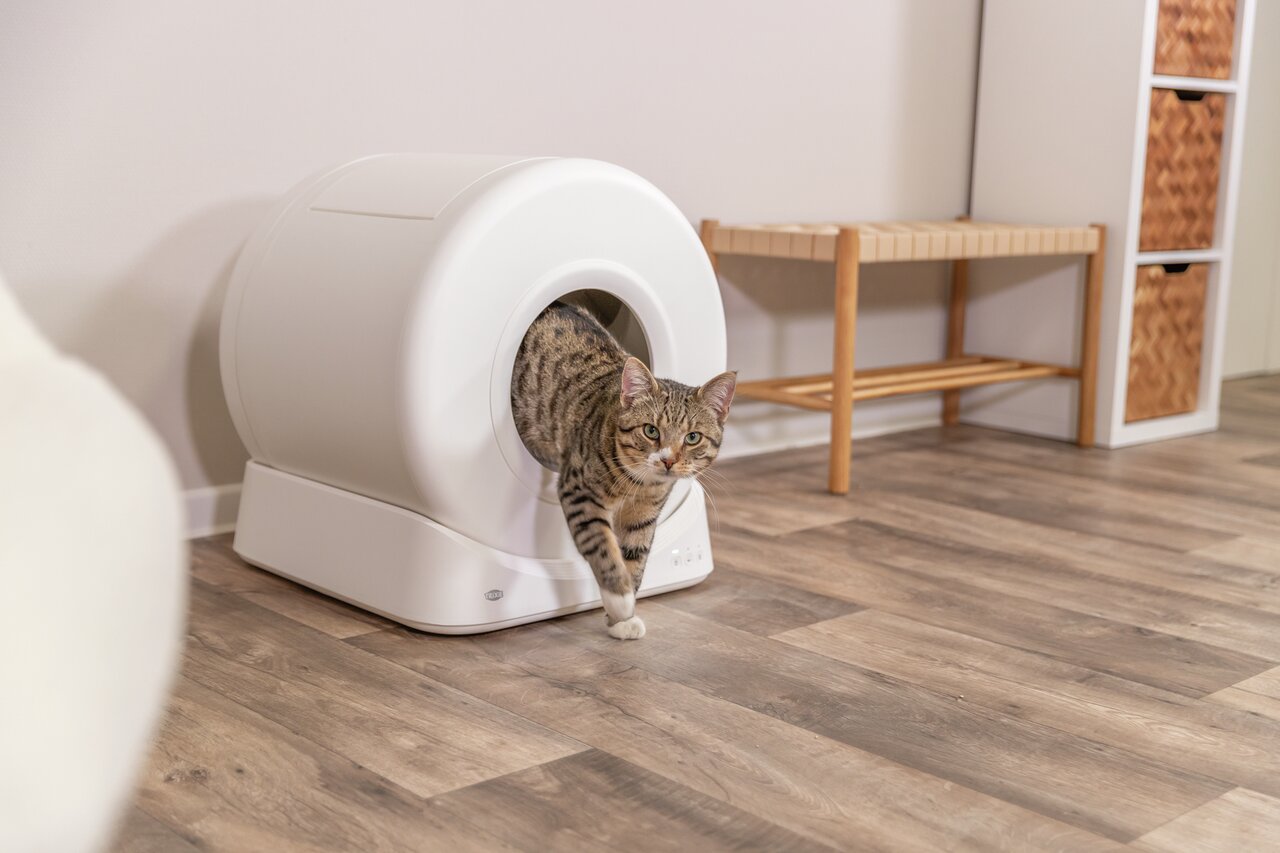 TRIXIE Katzentoilette „My Kitty Darling“, rund, großer Eingang, für Katzenhalter, modernes Design, ideal für helle Räume.
