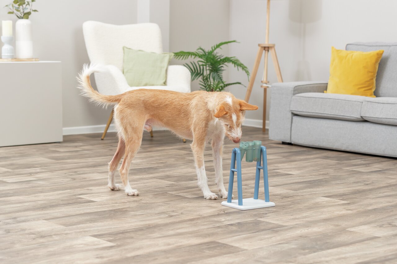 TRIXIE Dog Activity Turn Around Intelligenzspielzeug, für Hunde aller Rassen/Größen, fördert Geschicklichkeit, mit 3 Behältern.