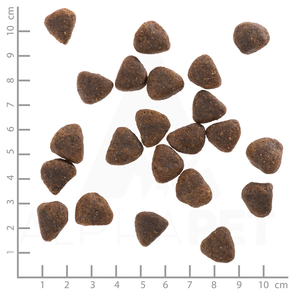 Wolfsblut Trockenfutter für Hunde, dreieckige Kroketten, braun, gleichmäßige Größe (Menge u. Geschmacksrichtung nicht angegeben).