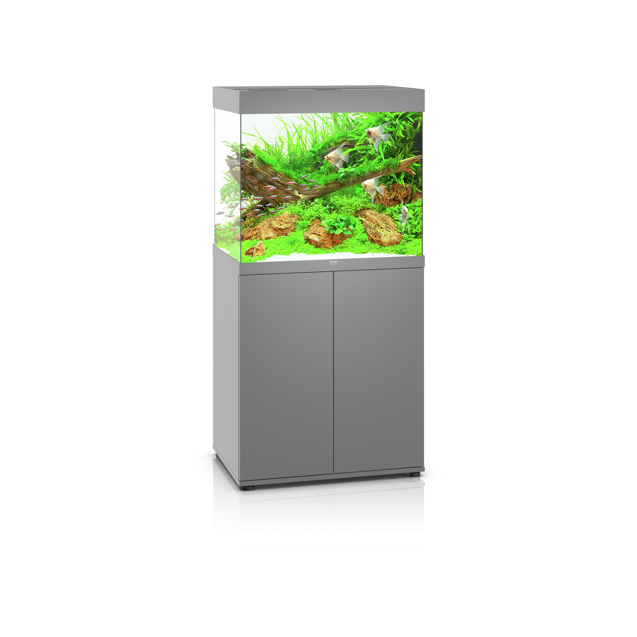 JUWEL Aquarium Rio 125 LED, Grau, 125 L, für Süßwasserfische & Pflanzen, LED-Beleuchtung, ideal für Einsteiger & Profis.