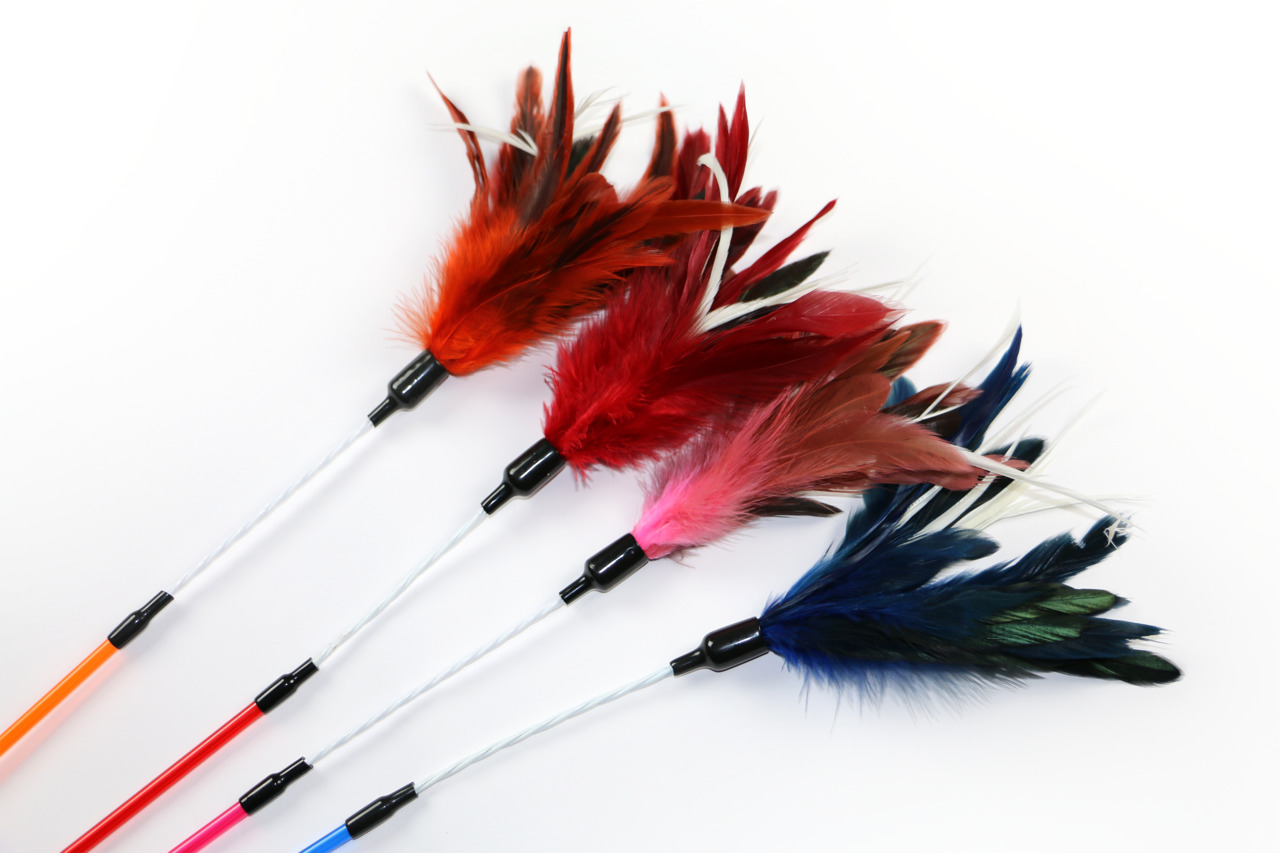 PORTA Katzenangel-Spielzeug, 4 Stk., farbige Federn (Rot, Pink, Blau, Orange), fördert Spieltrieb & Bewegung, ideal für Katzen.