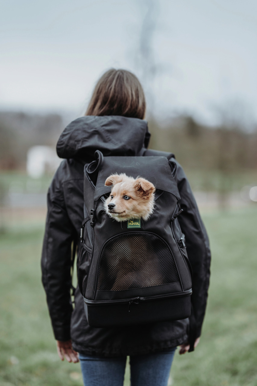 HUNTER Rucksack für kleine Hunde-Katzen, Netzfenster für Belüftung-Sichtbarkeit, für Tierhalter, sicher & bequem.