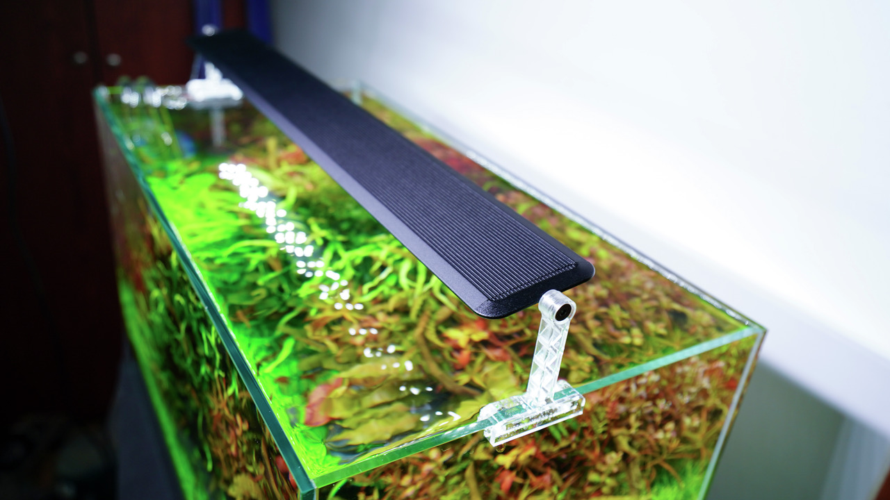 Das Bild zeigt die Chihiros WRGB II Aquarium-LED-Leuchte, die auf einem offenen Glas-Aquarium montiert ist. Die Leuchte ist schlank und schwarz, mit einer klaren Halterung, die sie stabil über dem Aquarium hält. Das Aquarium enthält üppige, grüne und rote