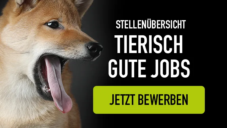 Karriere Footer Banner Mobile