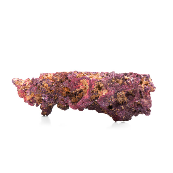 Ein dekoratives Stück CaribSea LifeRock, geeignet für Meerwasseraquarien. Die künstliche Lebendgesteinsnachbildung ist mit violetten und roten Korallenalgen überzogen und bietet eine natürliche Optik. Ideal für Aquarienliebhaber, die eine umweltfreundlich