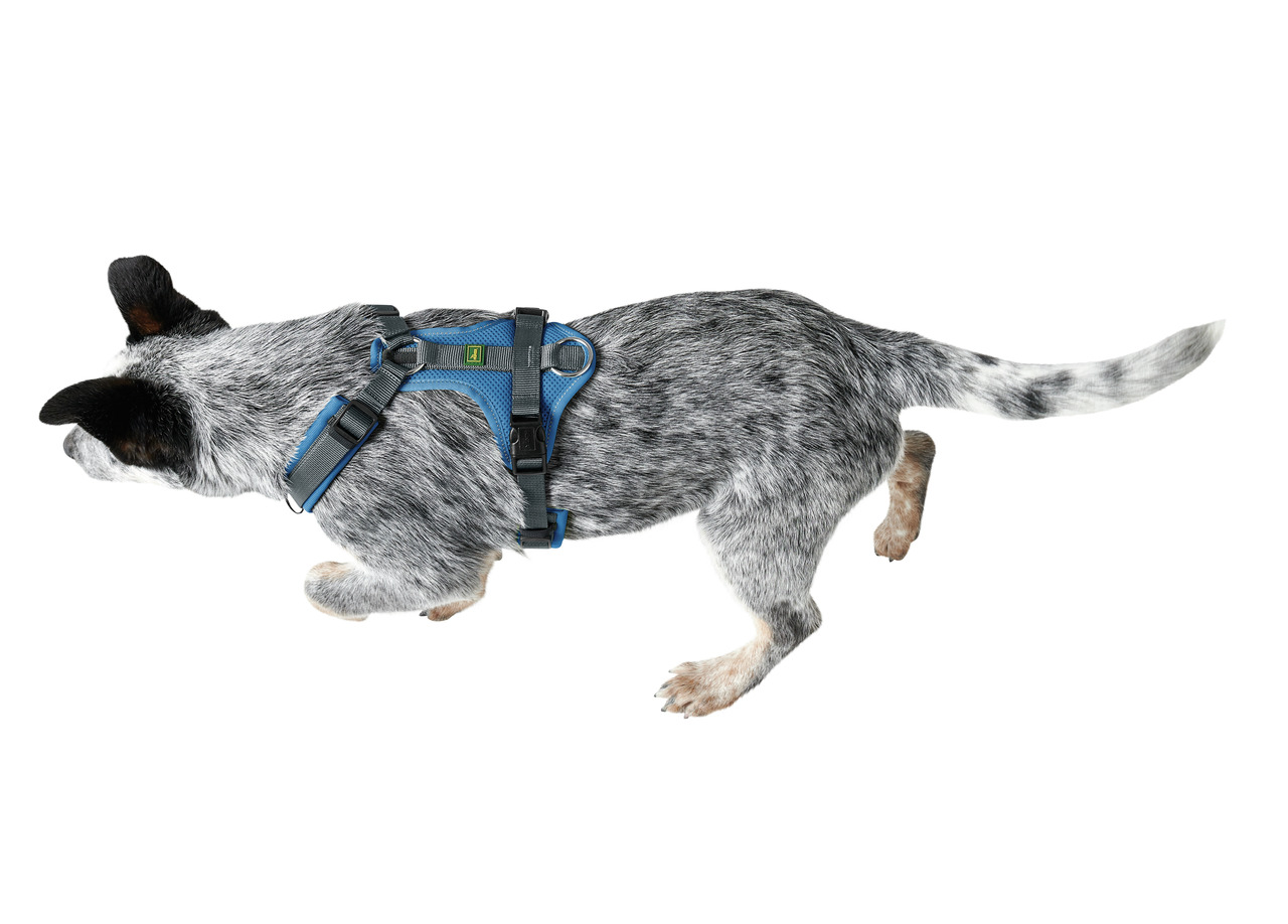 HUNTER Hundegeschirr, ergonomisch, verstellbar, mit Metallring, für aktive Hunde, hoher Tragekomfort, blau, für mittelgroße Hunde.