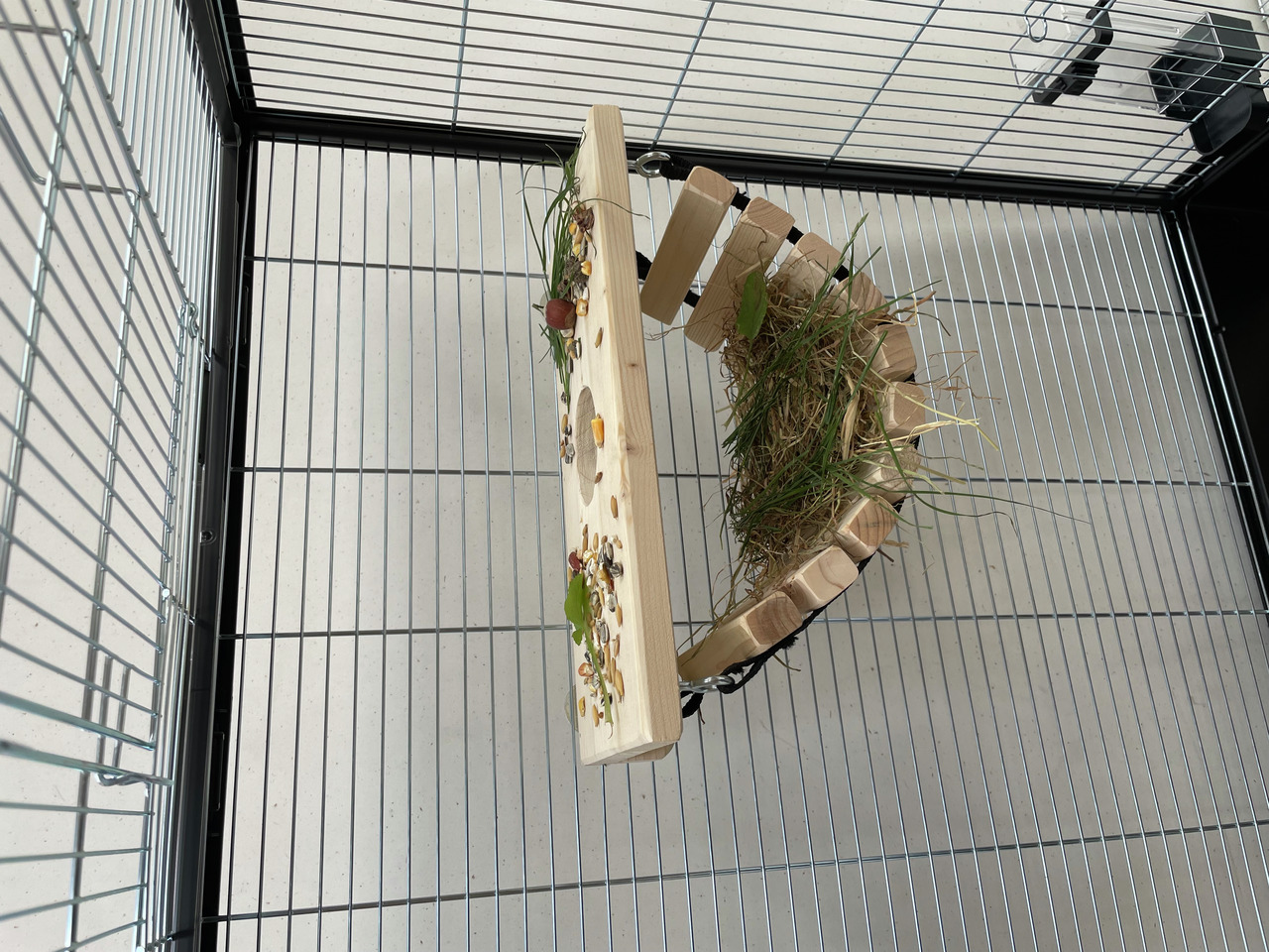 Ollesch Naturholz-Futterbrücke für Kleintiere (Kaninchen/Meerschweinchen), aus Holz mit Gras, Kräutern & Samen, Beschäftigung & Futter.