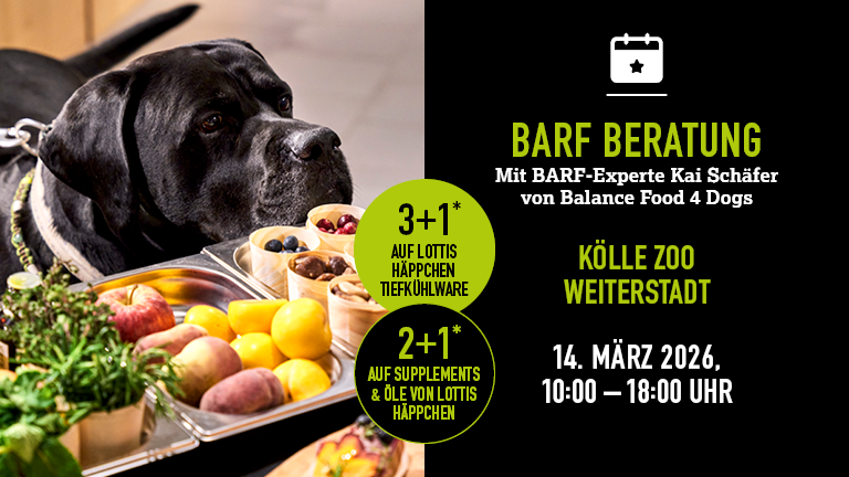 140326 Barf Weiterstadt Mobile 768x432px