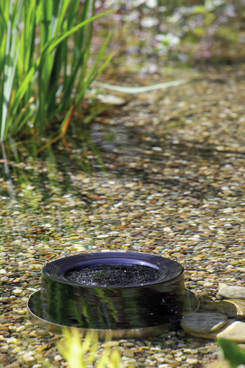 Das Bild zeigt den Oase AquaSkim 20, einen Oberflächenskimmer für Teiche, der effektiv Schmutzpartikel von der Wasseroberfläche entfernt. Der schwarze Skimmer ist in einem klaren Teich mit Kiesboden platziert, umgeben von grünen Pflanzen. Ideal für Teichb