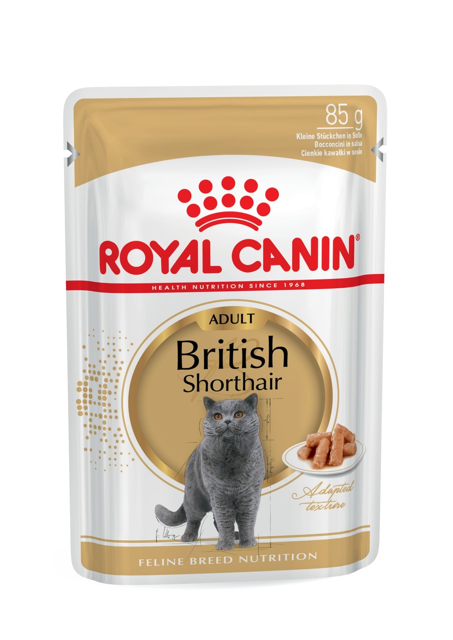 ROYAL CANIN British Shorthair Adult, 85 g, für erw. Katzen der Rasse British Shorthair, Stückchen in Soße, weiße-goldene Verpackung.