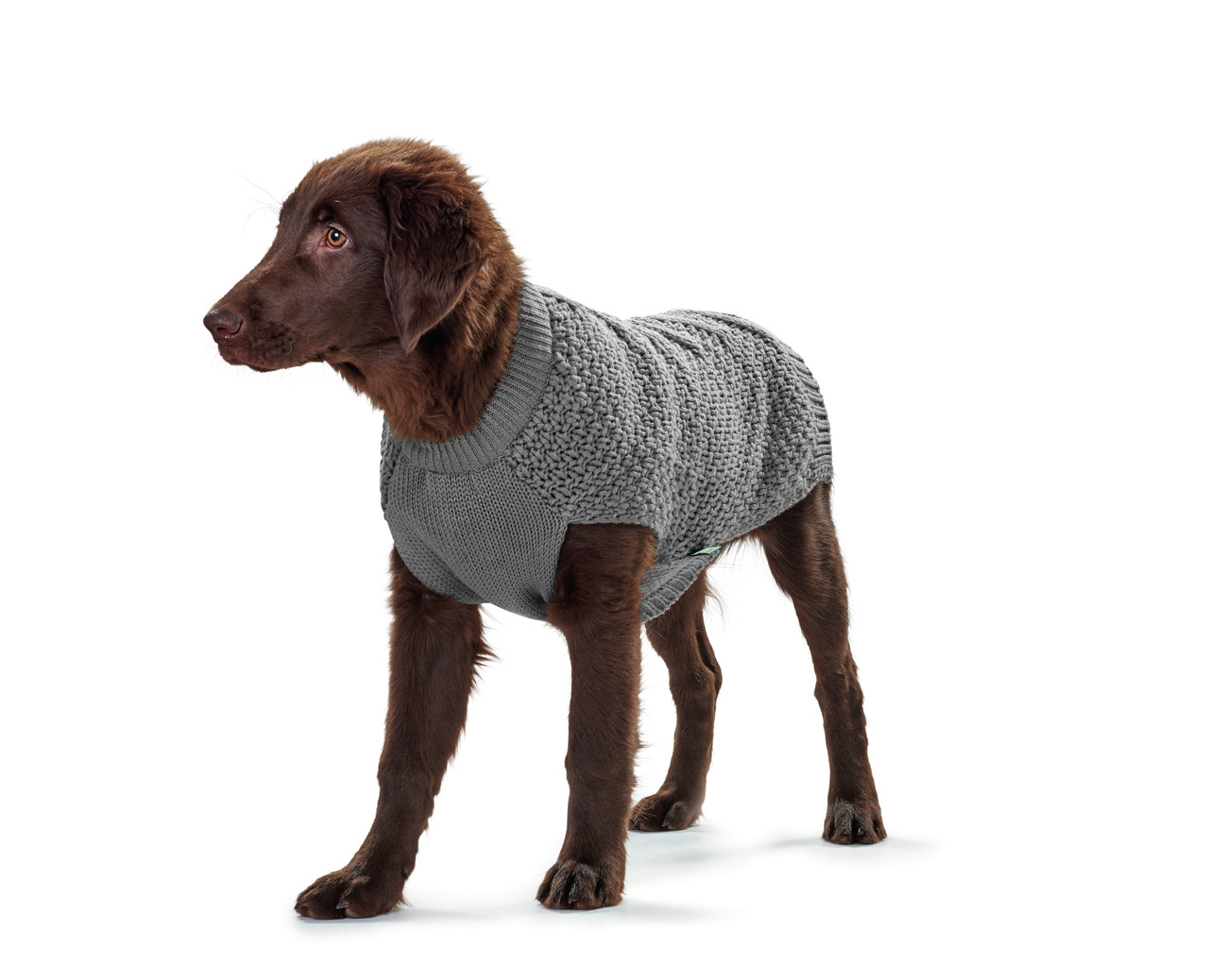 HUNTER Strickpullover für Hunde, braun/grau, warm & bequem für kalte Tage, ideal für stilbewusste Hundehalter.