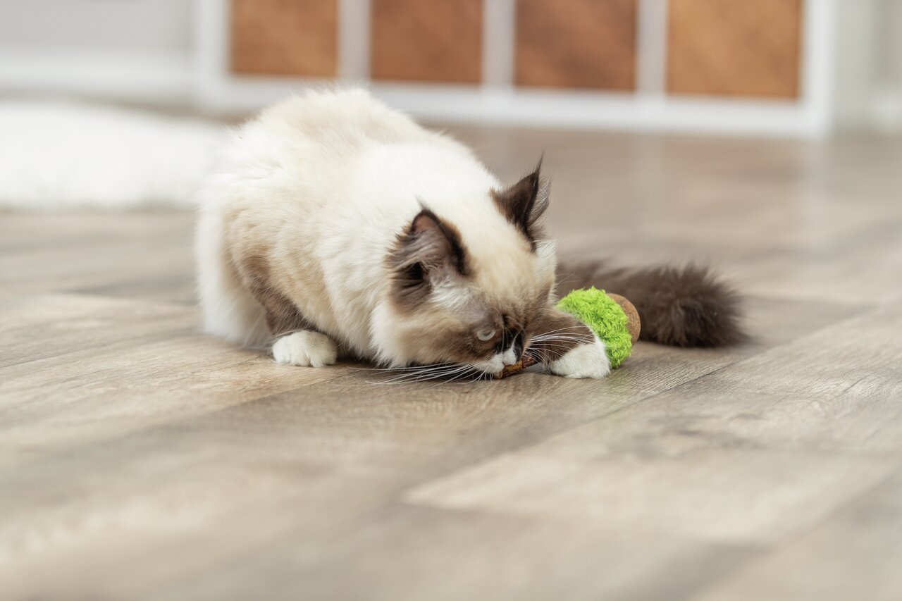 TRIXIE Katzenspielzeug, grün-braun, mit Fell & Feder, für Katzen jeden Alters, ideal zum Spielen.