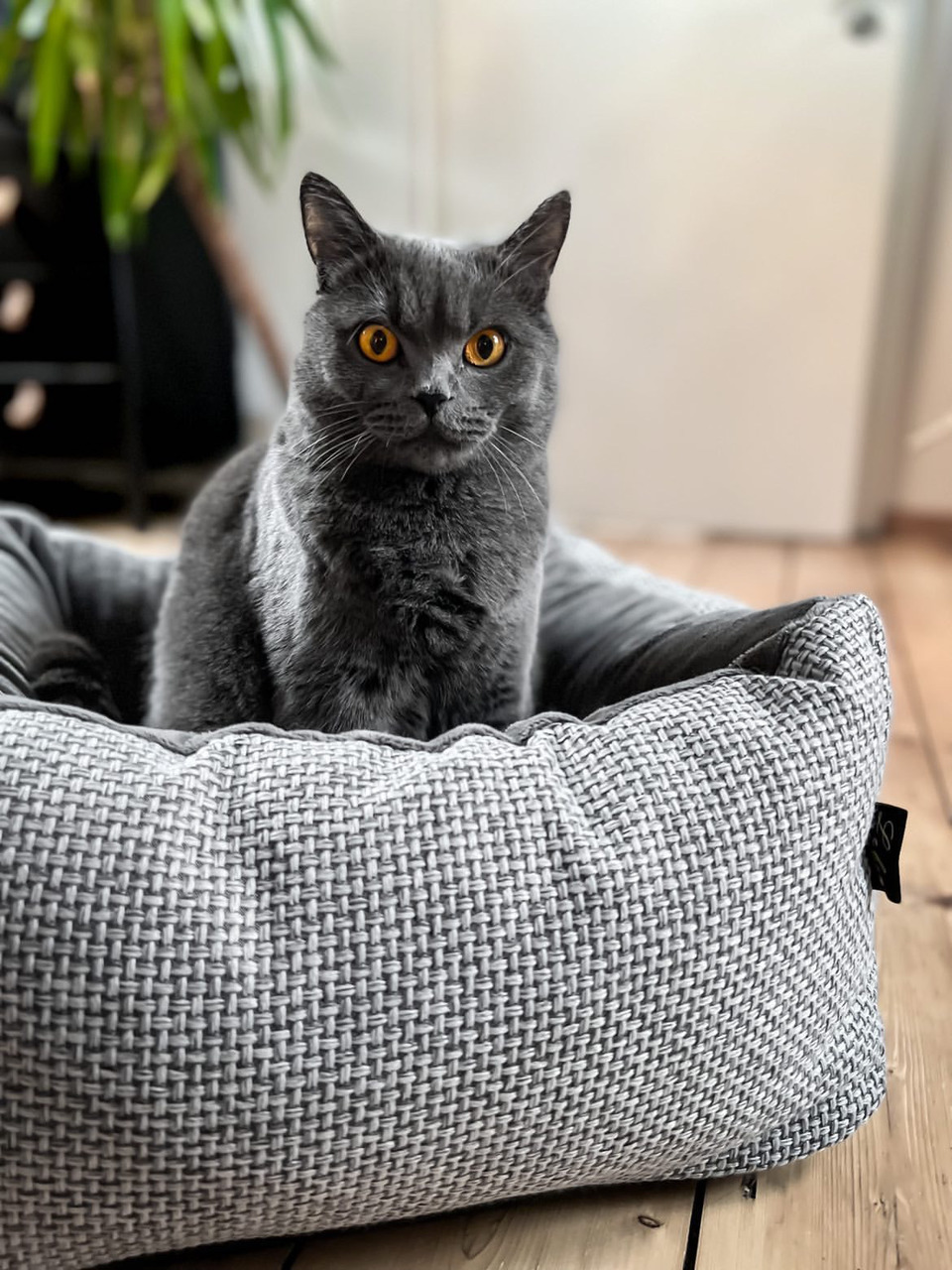 LEBON Katzenbett, grau, für Katzen, aus strukturiertem Stoff, bietet optimalen Komfort, stilvoll u. bequem für Katzenhalter.