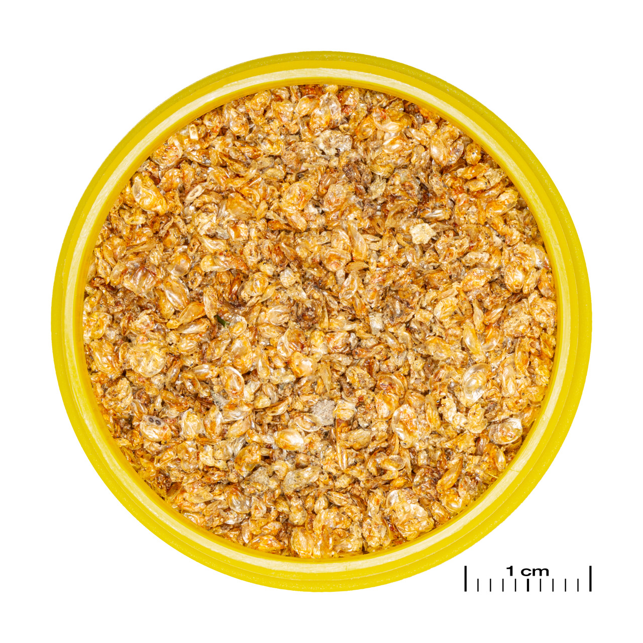 JBL NovoArtemio, Futter f. Zierfische (Jungfische), getr. Artemia, natürl. Geschmack, 100 ml, hochwertig.