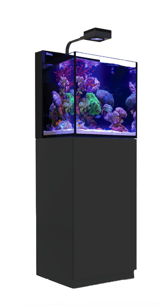 Red Sea MAX NANO Aquarium, Meerwasseraquarium f. Anfänger & Profis, mit Beleuchtung, inkl. Korallen & Fischen, auf schwarzem Unterschrank.