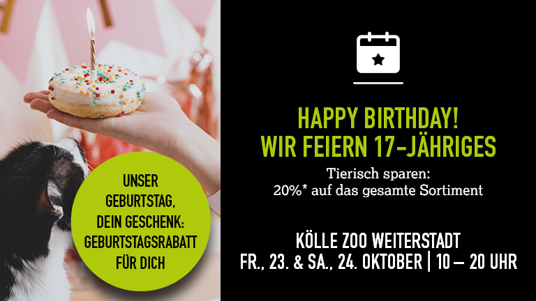 23241026 Geburtstag Weiterstadt Mobile 768x432px