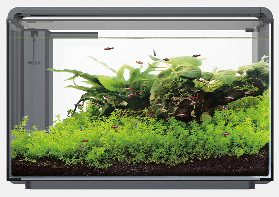 Superfish Aquarium Home 25, 25 L, für Aquaristik-Fans, modernes Design, klare Sicht, ideal für Pflanzen & Neonfische.