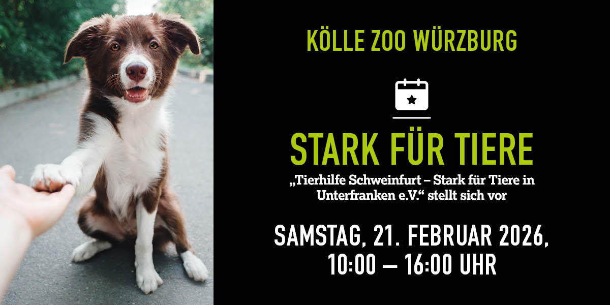 Fröhlicher Hund, Werbung für Tierhilfe Schweinfurt Tombola im Kölle Zoo