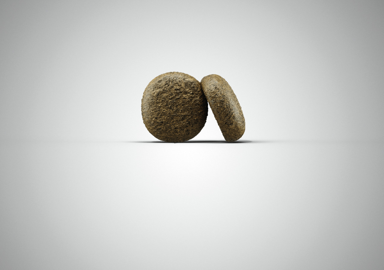 Das Bild zeigt zwei runde, braune Kroketten des Hundefutters „Josera SensiPlus“. Dieses Premium-Trockenfutter ist speziell für ausgewachsene Hunde mit empfindlichem Magen entwickelt. Die Geschmacksrichtung ist Ente und Reis. Die Kroketten sind mittelgroß 