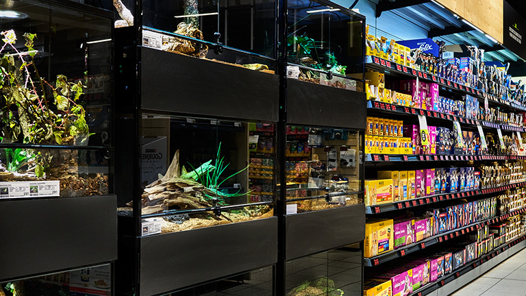 Regale Dsc6620 768x432px