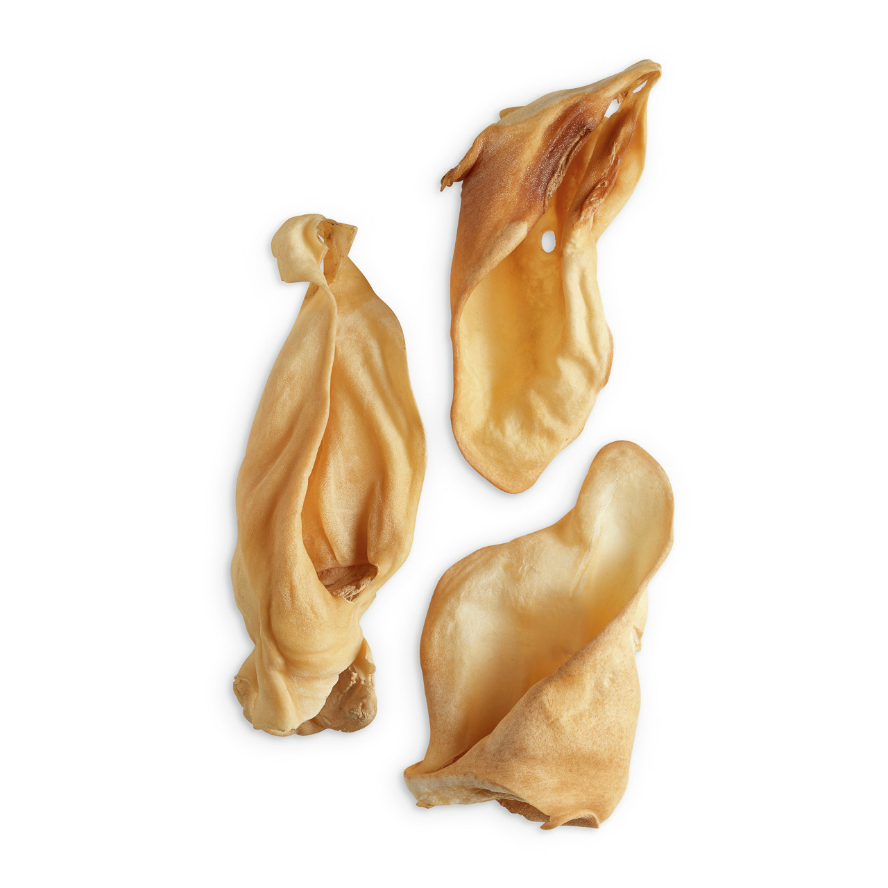 Auf dem Bild sind drei getrocknete Schweineohren der Marke „Lottis Häppchen“ zu sehen. Dieses Naturkauprodukt ist für Hunde aller Größen geeignet und dient als schmackhafter Kausnack. Die Schweineohren sind naturbelassen, proteinreich und unterstützen die