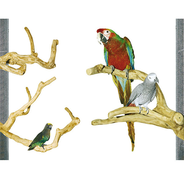 Das Bild zeigt drei Papageien unterschiedlicher Arten auf naturbelassenen Holzsitzstangen, die in einem Vogelkäfig angebracht sind. Links unten sitzt ein kleiner grüner Papagei, rechts oben ein bunter Ara und daneben ein grauer Graupapagei. Die Sitzstange