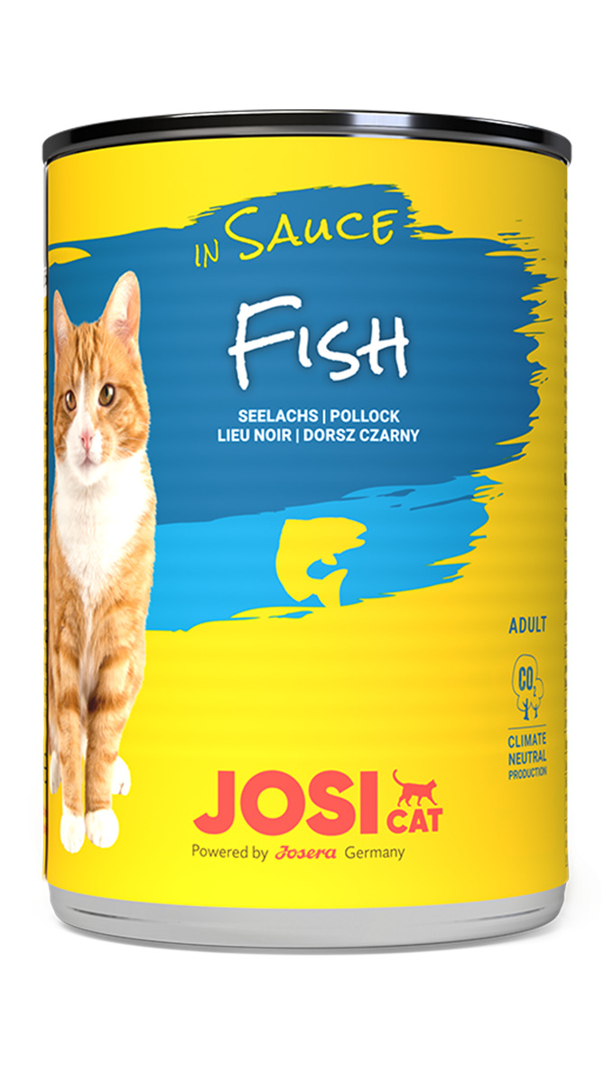 Josera JosiCat Fish in Sauce, für ausgewachsene Katzen, Seelachs, klimaneutral produziert, gelb-blaue Dose, orange-weiße Katze.