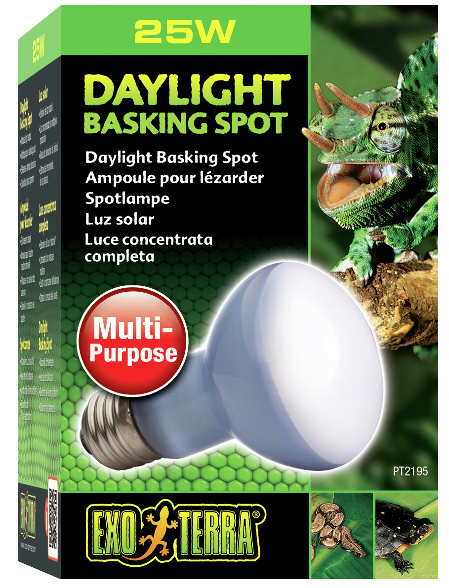 Exo Terra Daylight Basking Spot 25W: Mehrzwecklampe für Reptilien (Chamäleon, Schlange, Schildkröte), Tageslicht, Wohlbefinden fördernd.