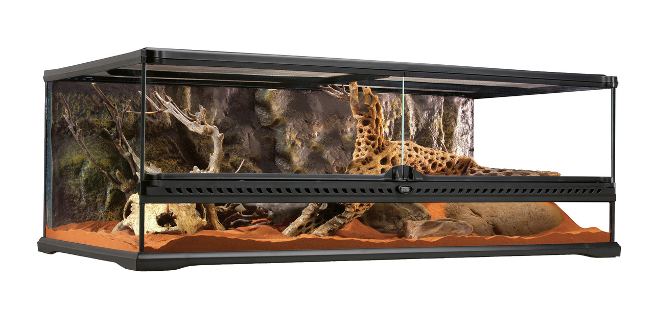 Exo Terra Glasterrarium Low 90 cm