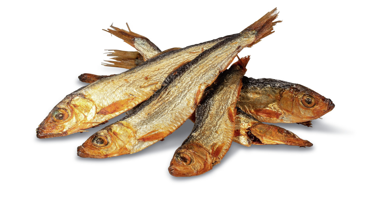 PREMIERE getrocknete Fische, Snack f. Hunde & Katzen, goldbraun, proteinreich, nat. Belohnung, 100g.