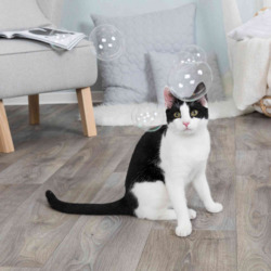 Ein Kater sitzt auf Holzboden, umgeben von Seifenblasen. Im Hintergrund Sessel, Kissen, Decke – spielerische, entspannte Atmosphäre.