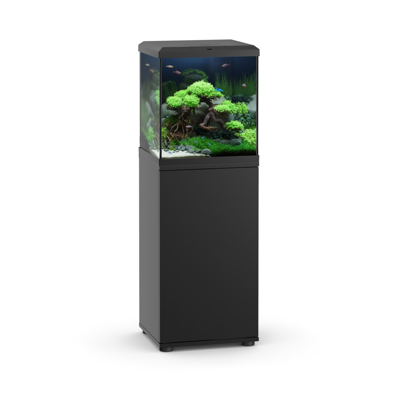 JUWEL Aquarium-Set mit schwarzem Unterschrank, ideal für Aquaristik-Liebhaber, großes Fassungsvermögen, modernes Design.