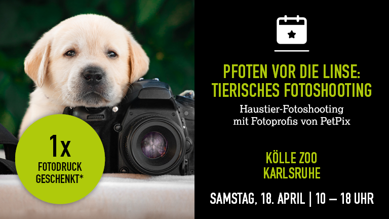 180426 Fotoshooting Karlsruhe Mobile 768x432px