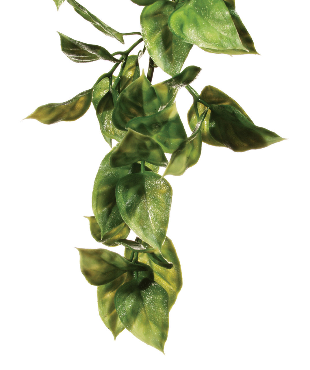 Exo Terra "Philodendron", künstl. Pflanze für Terrarien, Reptilien & Amphibien, realistische Blätter, Versteckmglk., nat. Verhalten.