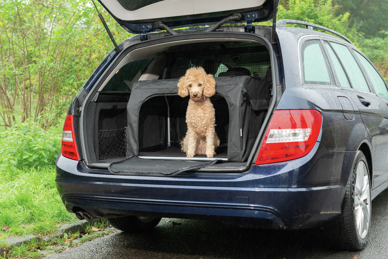 AniOne Transportbox für Hunde, sicher & komfortabel, ideal für Autofahrten. Zielgruppe: Hundebesitzer.