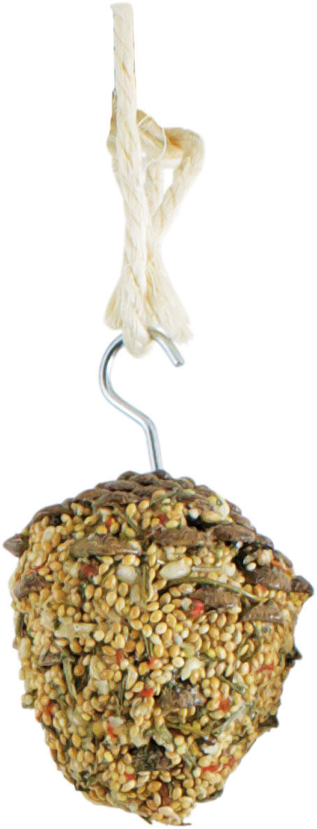 JR FARM Knabber-Kolben für Vögel, natürl. Snack aus Saaten-Körnern, mit Haken+Schnur, fördert Knabberverhalten, 1 Stk.