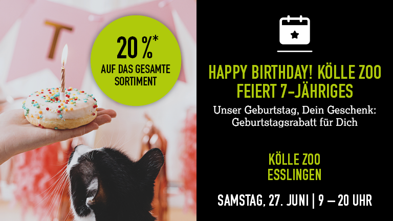 270626 Geburtstag Esslingen Mobile 768x432px