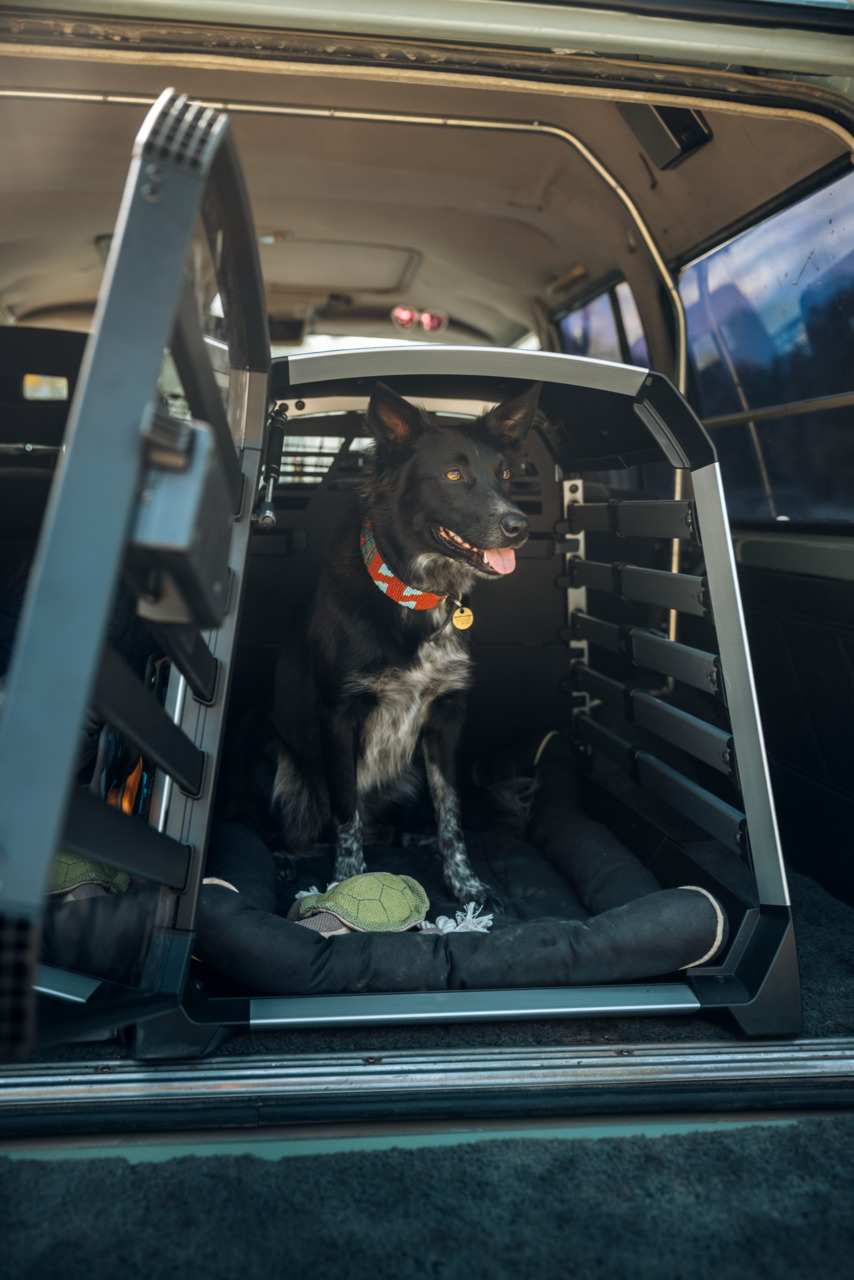 Thule Hundetransportbox, robust & bequem, für mittelgroße Hunde. Mit Polsterung & grünem Schildkröten-Spielzeug. Ideal für Autofahrten.