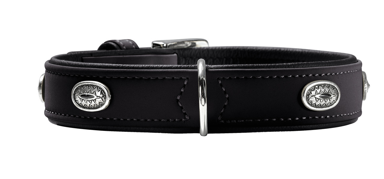 Hundehalsband HUNTER, Leder, silberne Applikationen, für alle Hunde, robust & elegant, ideal täglich, EAN: 4016739475671.